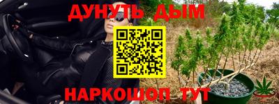 трава Заволжье